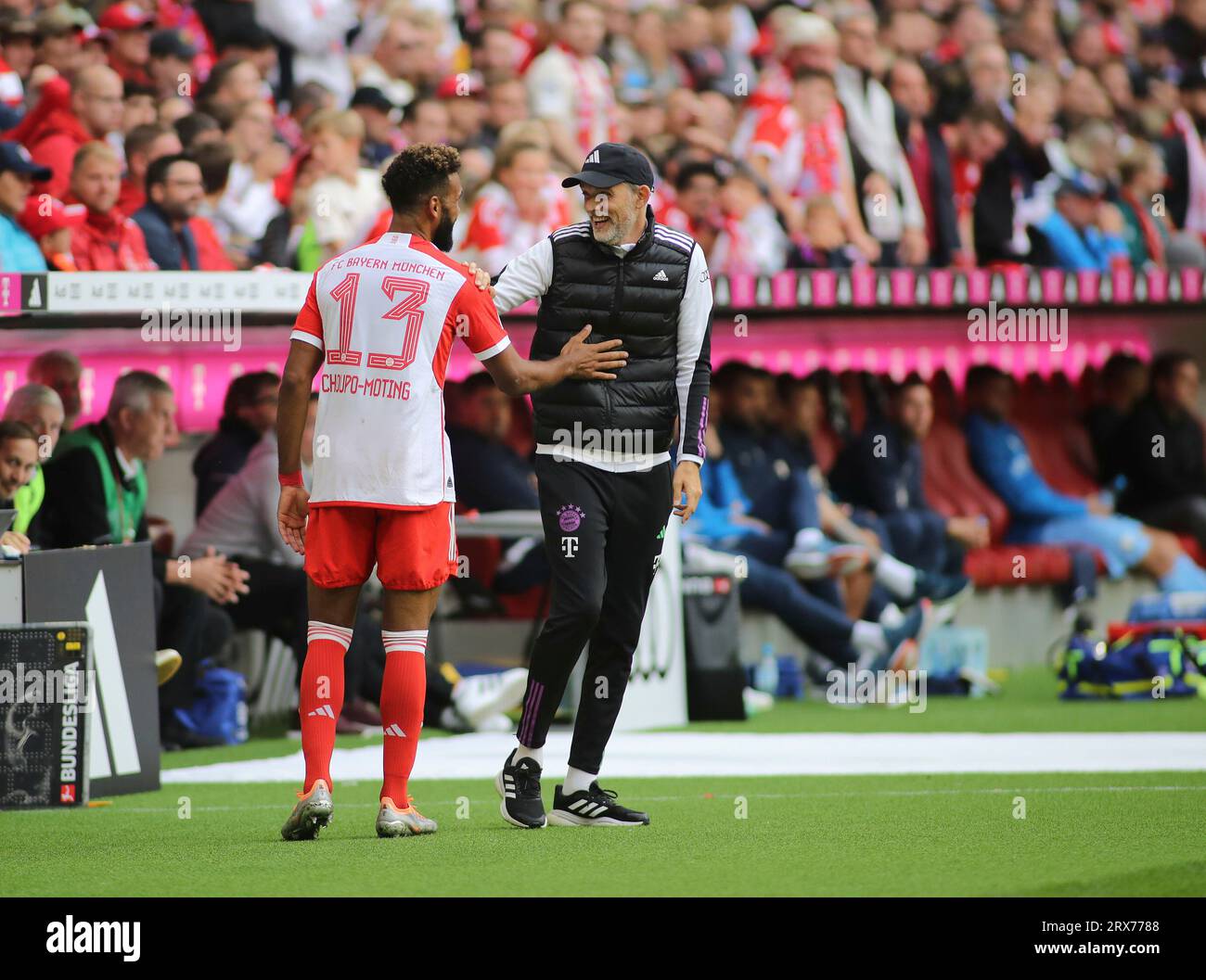 Trainer fc bayern münchen li mit eric maxim choupo moting hi-res stock ...