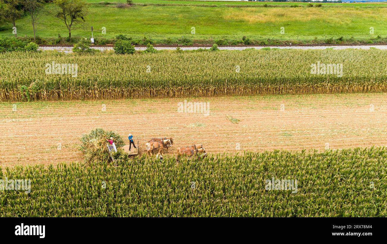Horses pulling a machine hi-res stock photography and images - Alamy
