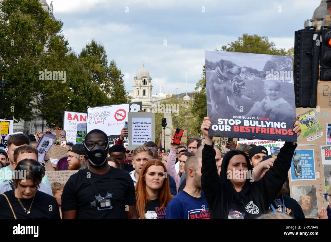 demonstration against the xl bully ban in central london whitehall london 23 sep 2023 Stock Photo