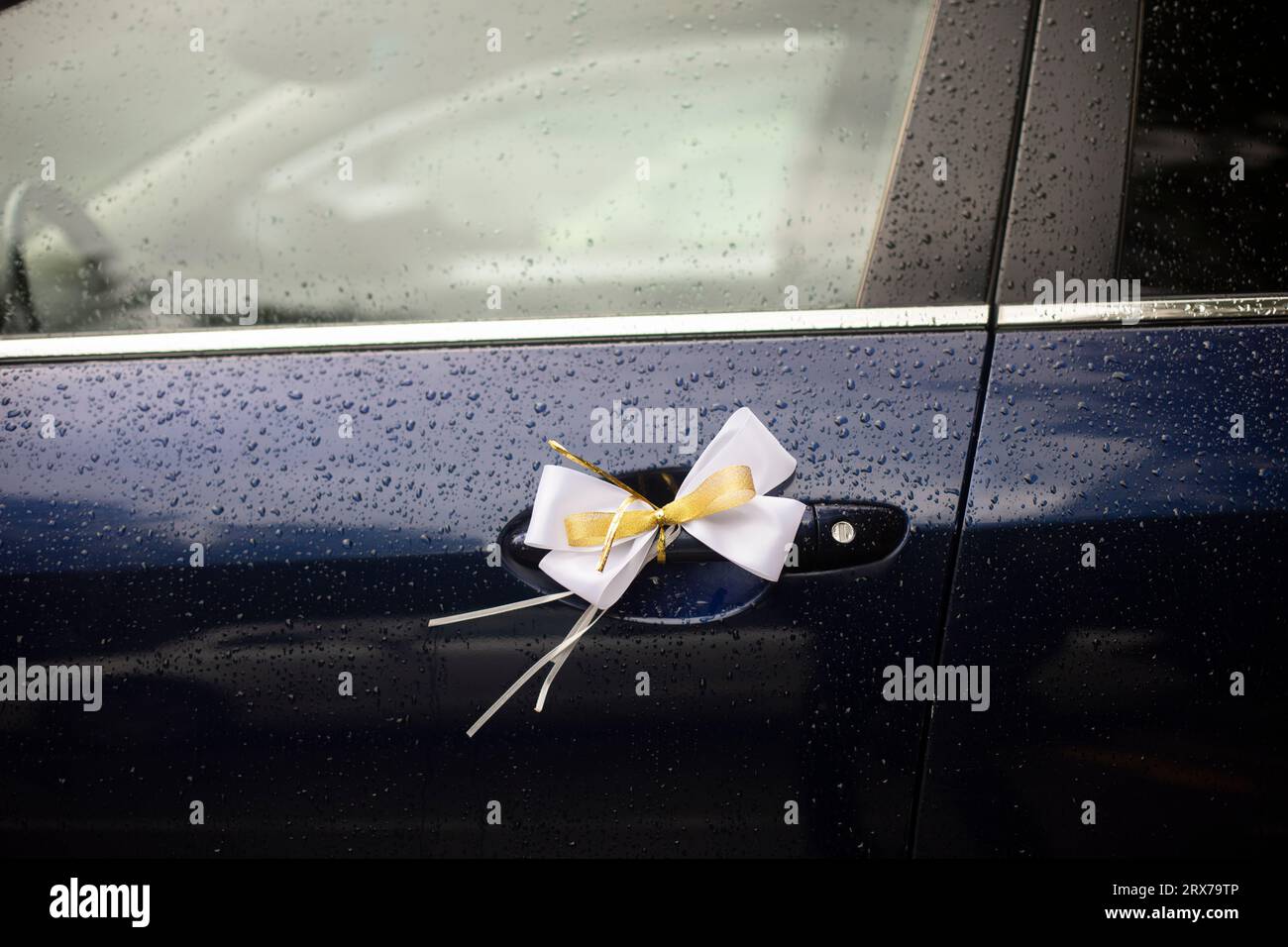 Cloth bow on car door. Decoration of transport for wedding. Bow made of white fabric. Wedding in rain. Stock Photo