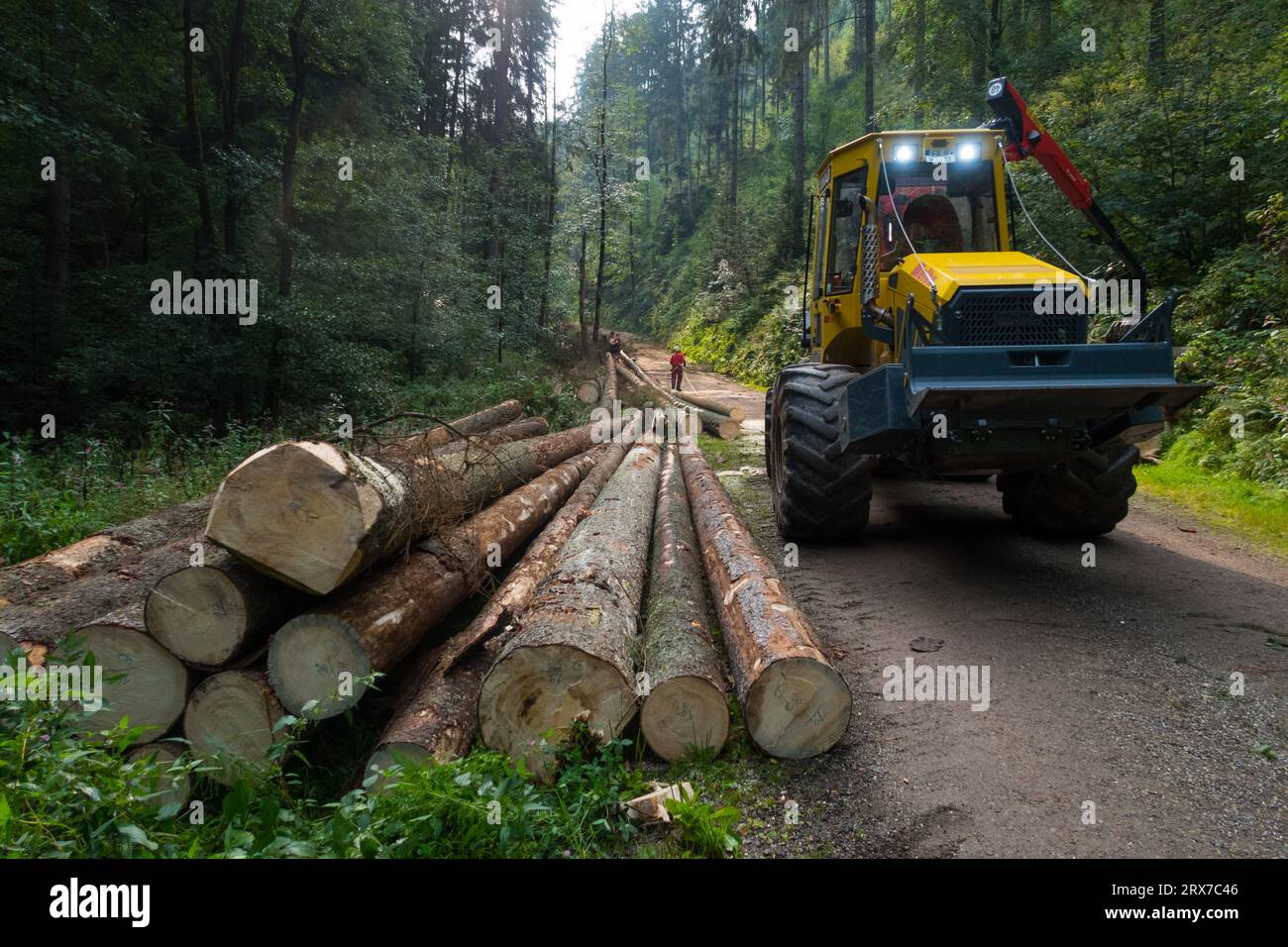 Woodwork with heavy equipment in the Black Forest, Germany Stock Photo ...