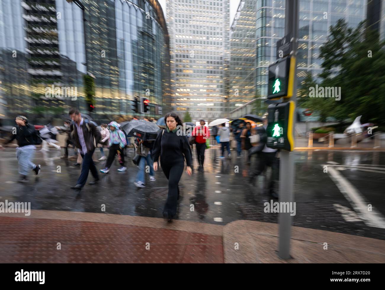 Canary Wharf, London, UK: People crossing the road at traffic lights in ...