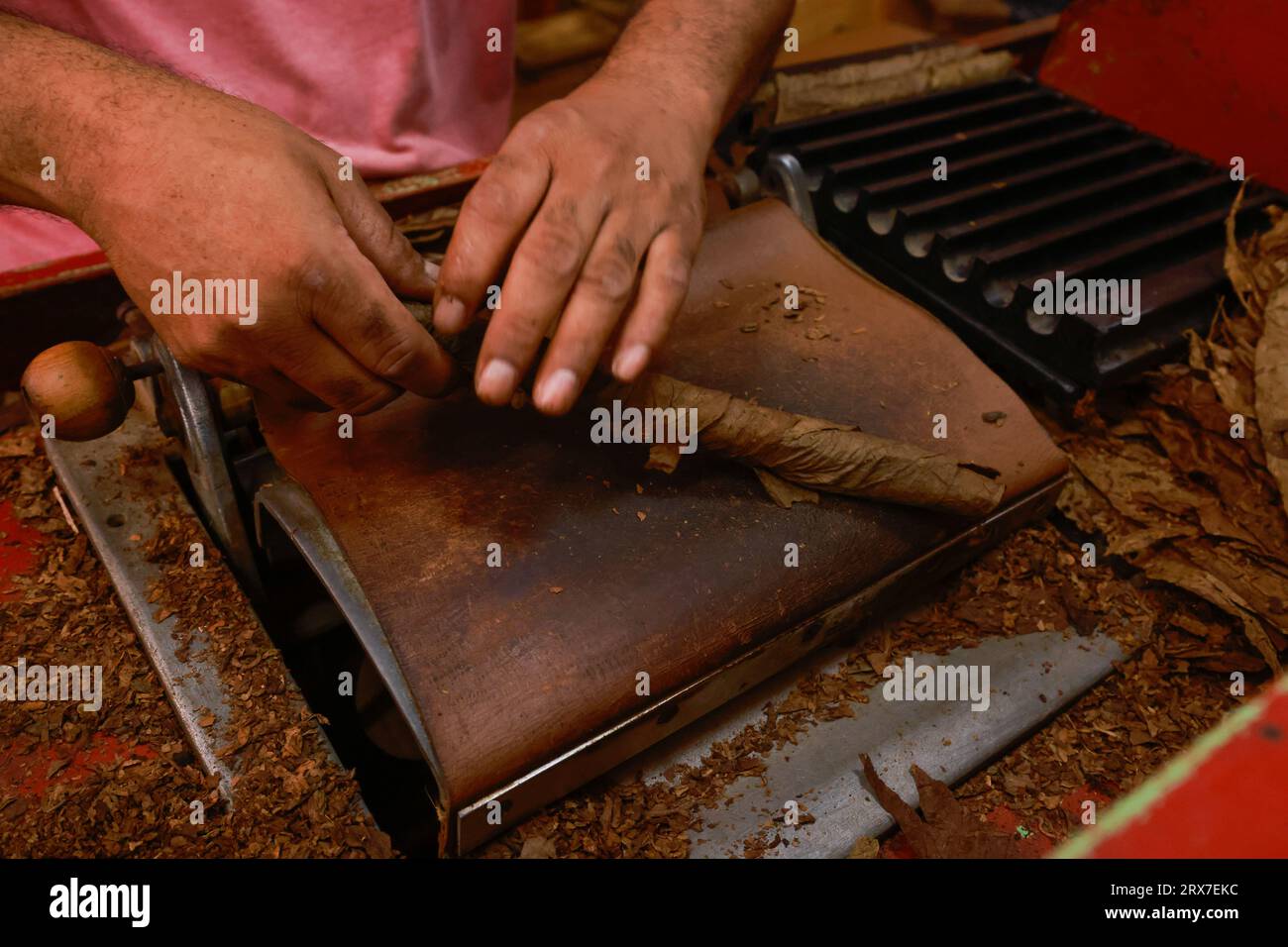 Process of making traditional cigars from tobacco leaves with hands ...
