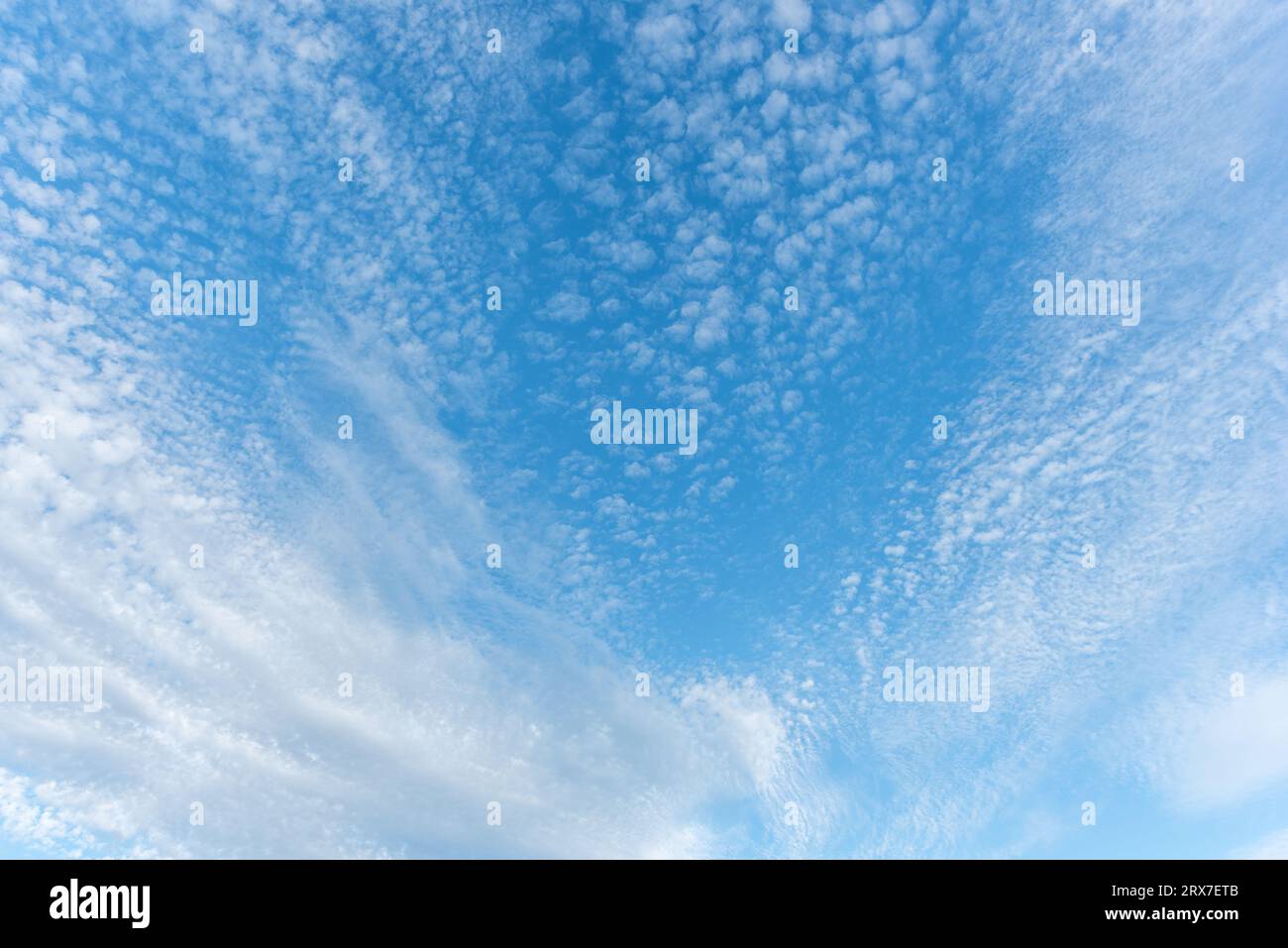 Mottled sky formed by Altocumulus stratiformis clouds. Bas-Rhin, Collectivite europeenne d'Alsace,Grand Est, France. Stock Photo