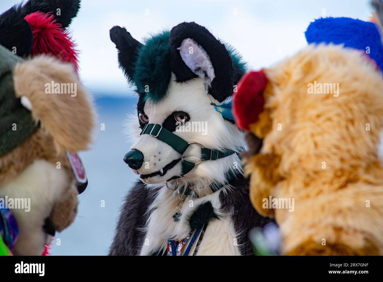 Binz, Germany. 23rd Sep, 2023. With colorful animal costumes, participants  of the "Furry Treffen" stand on the pier. At the convention, people meet  who have a soft spot for fur costumes. Credit: