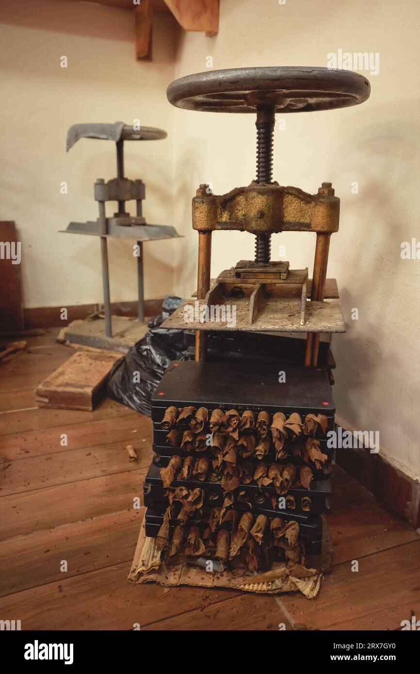 Process of making traditional cigars from tobacco leaves with hands ...