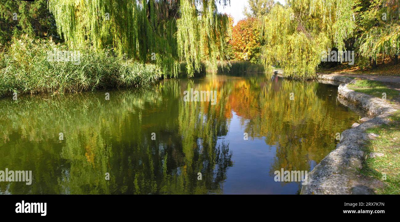 panoramic image of the autumn park in October Stock Photo