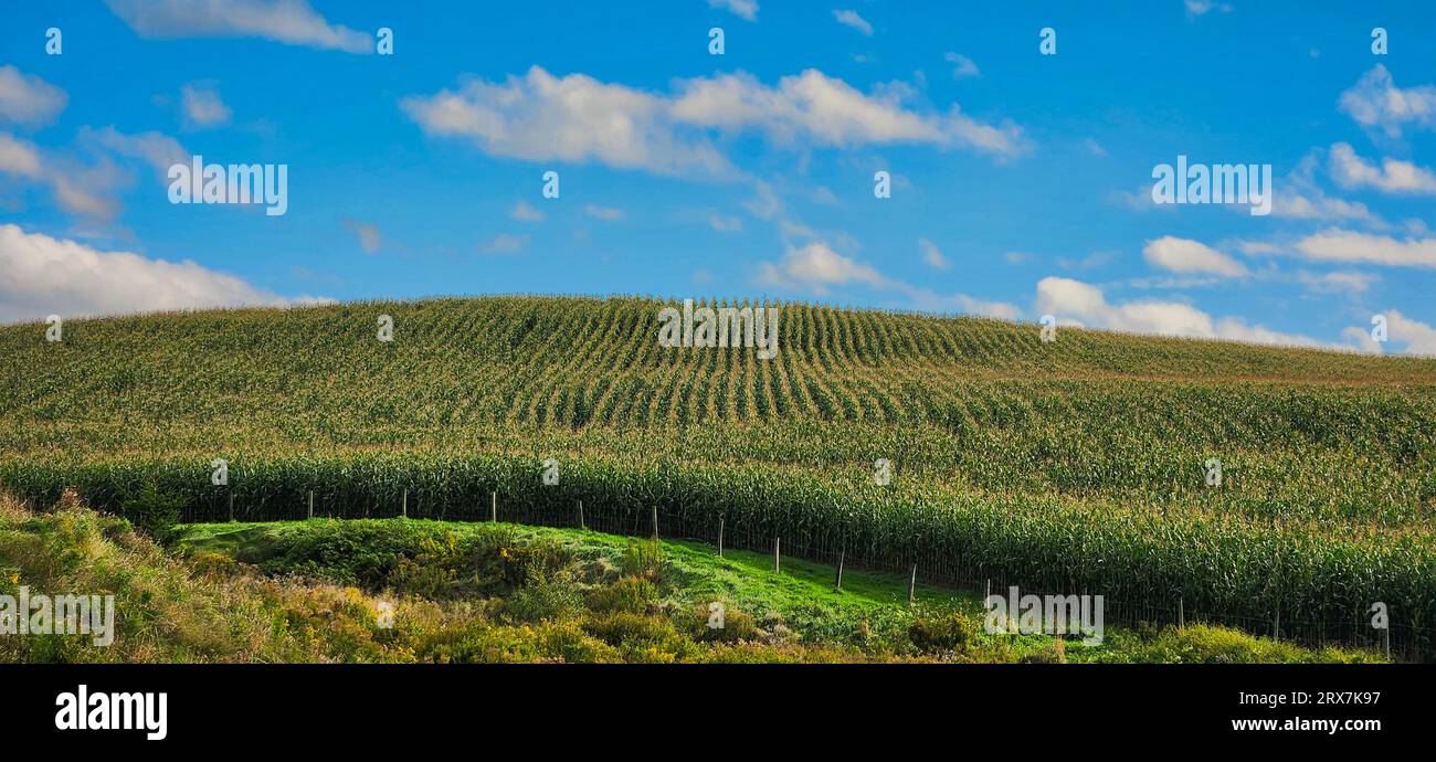 Nova Scotia houses approximately 3795 farms averaging 262 acres per