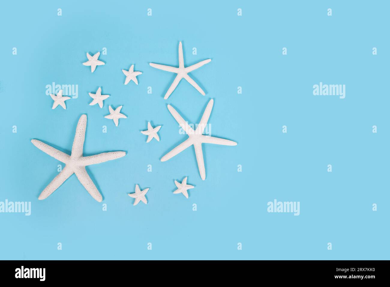Different sized starfish on blue background. Stock Photo