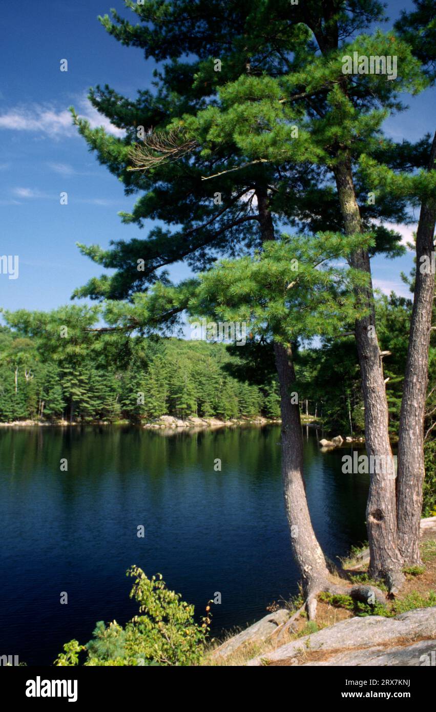 Pharoah Rivers Pharoah Lake, Pharoah Lake Wilderness, Adirondack Park, New York Stock ...