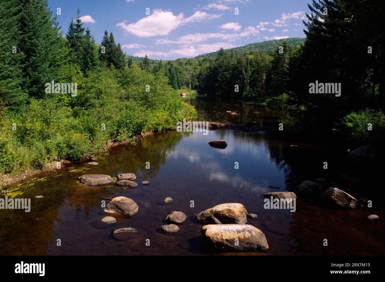 East Fork Sacandaga River on the Siamese Pond Trail, Siamese Ponds Wilderness, Adirondack Park, New York Stock Photo