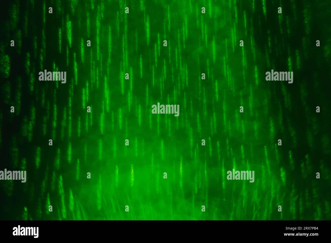 Abstract with green glass, blurred background Stock Photo