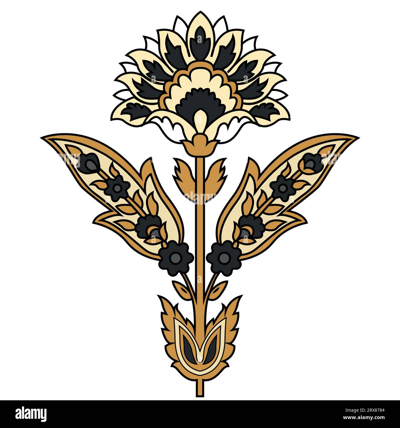 A beautiful golden and black flower on a crisp white background Stock ...