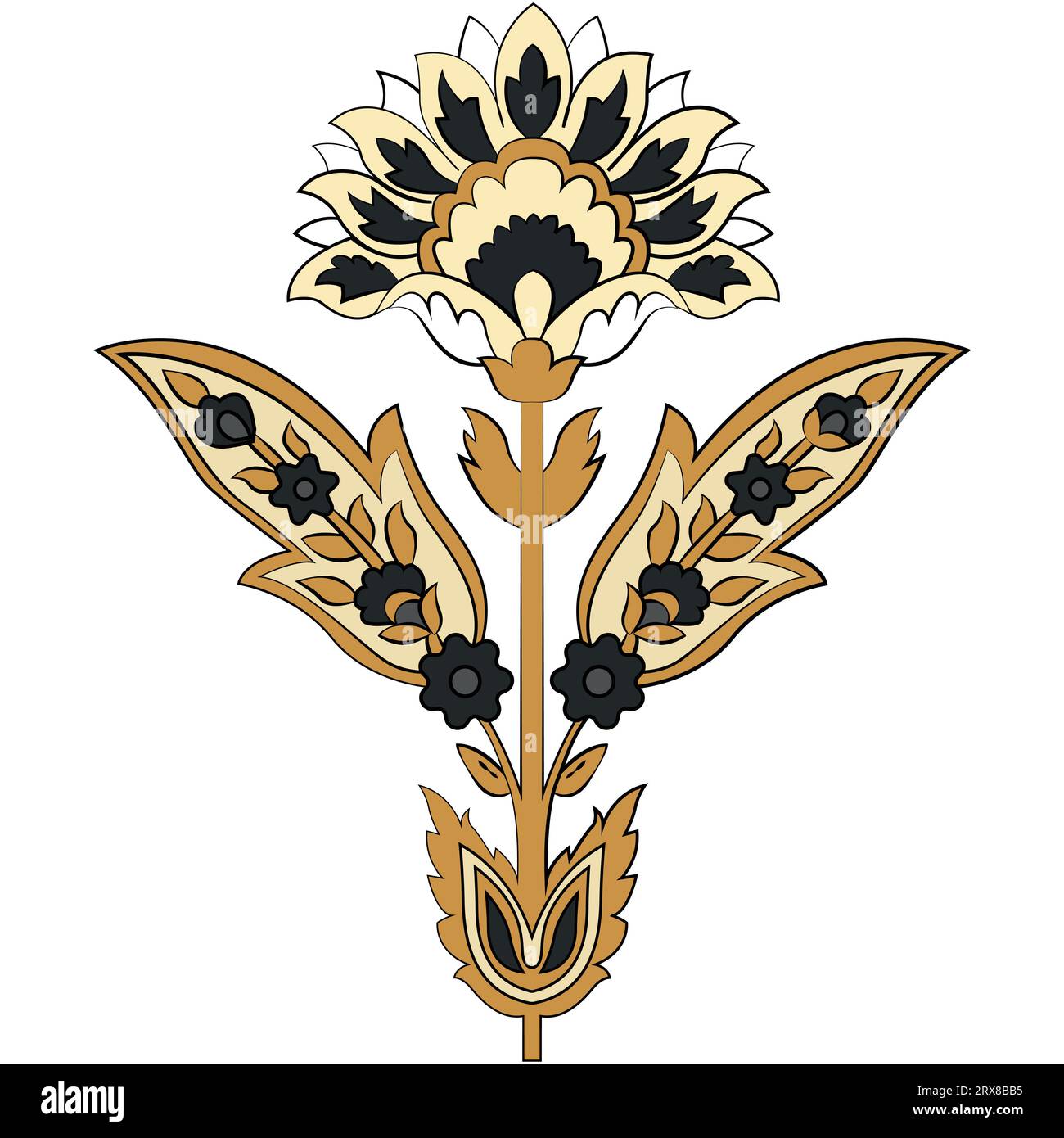 A beautiful golden and black flower on a crisp white background Stock ...