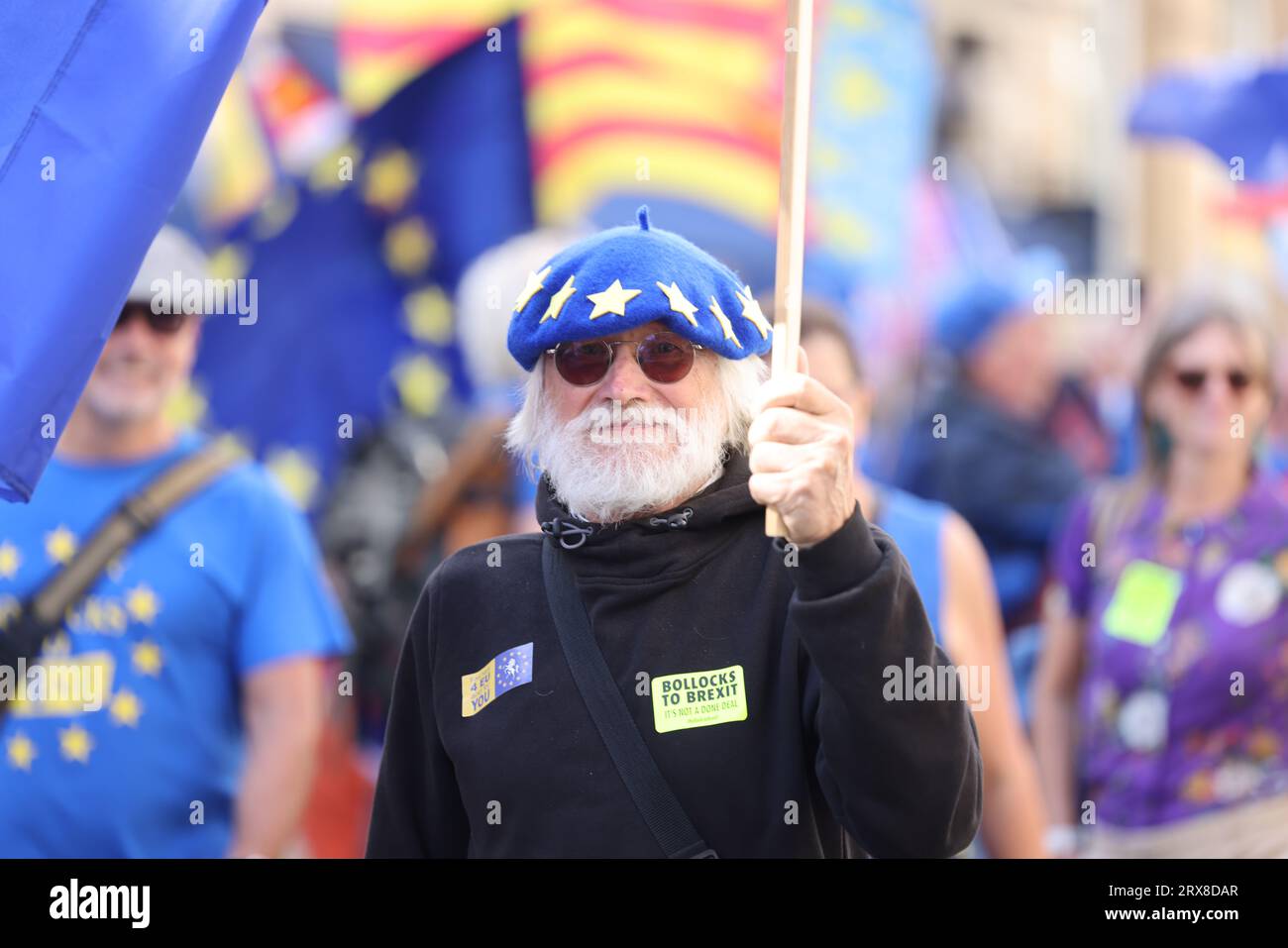 Pall mall flags hi-res stock photography and images - Alamy
