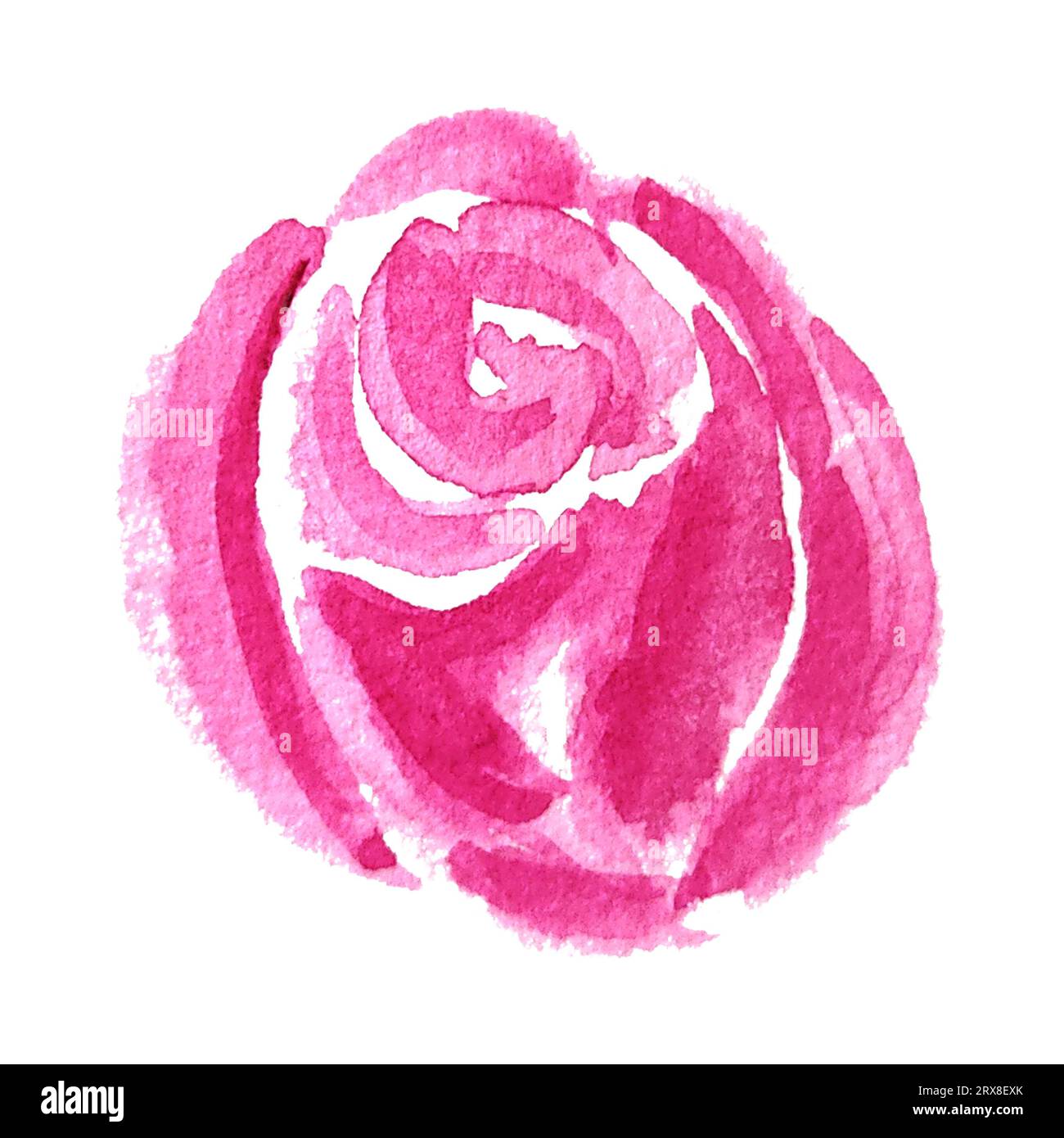 Watercolor rose flowers hand drawn in abstract style for use in logo, wedding, holiday and birthday designs. Pink daisy isolated elemet decoration Stock Photo