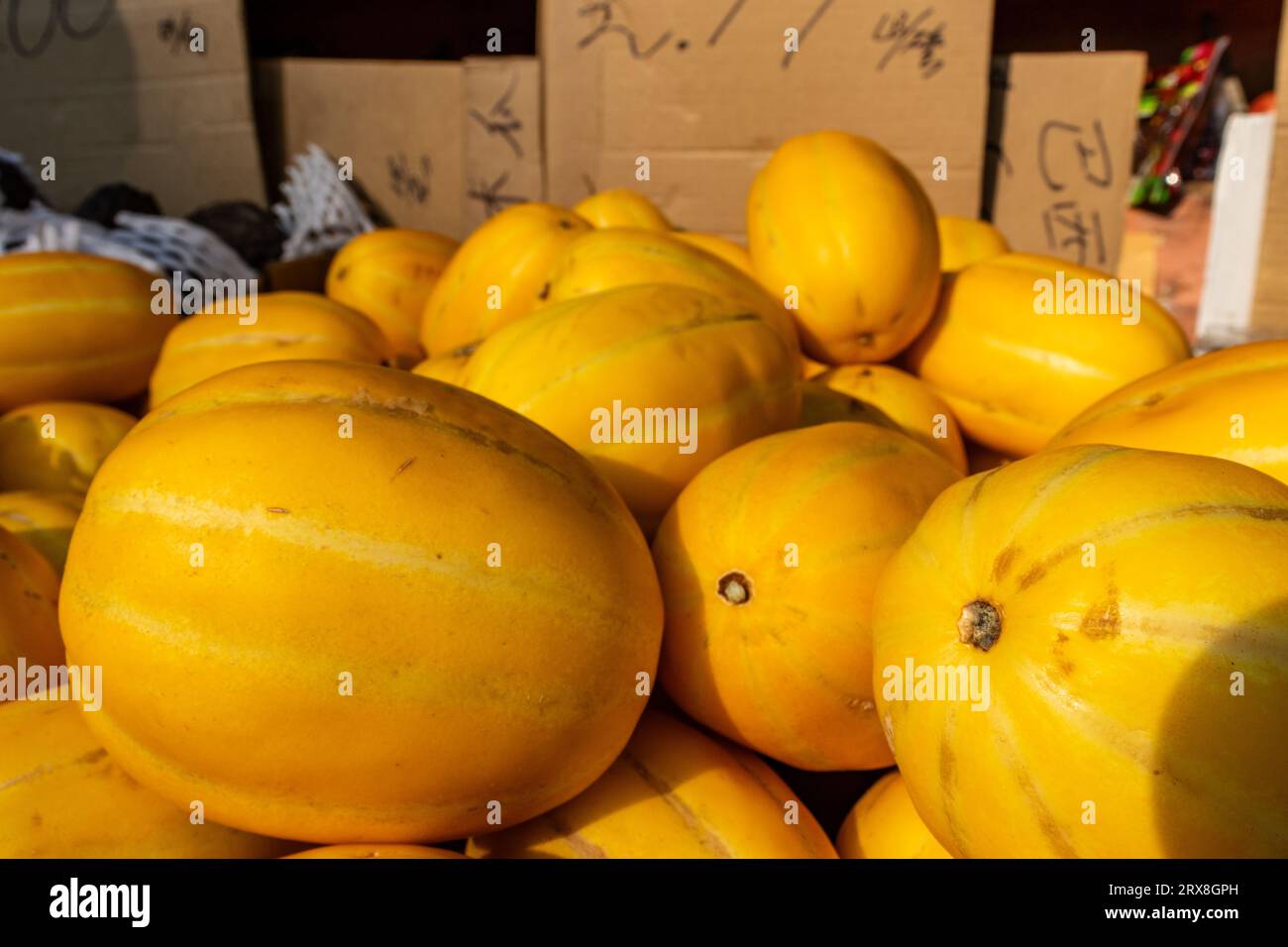 Yellow melons - oblong and smooth - stacked in a market setting - natural daylight Stock Photo