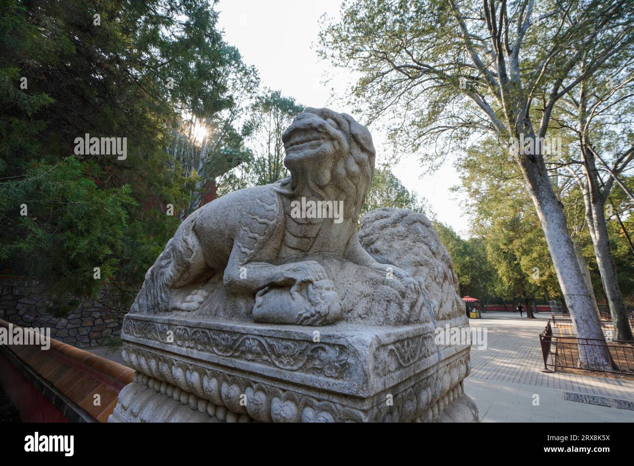 Divine animals hi-res stock photography and images - Alamy