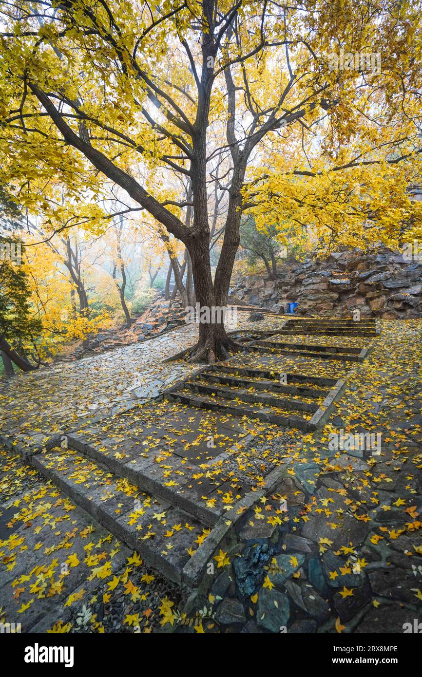 Early winter scenery hi-res stock photography and images - Alamy