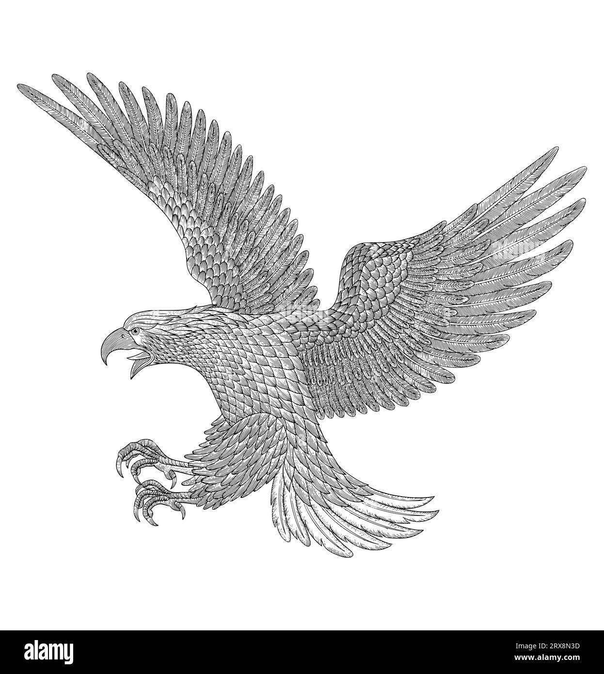 Angry bald eagle flying attacking, Vintage engraving drawing style