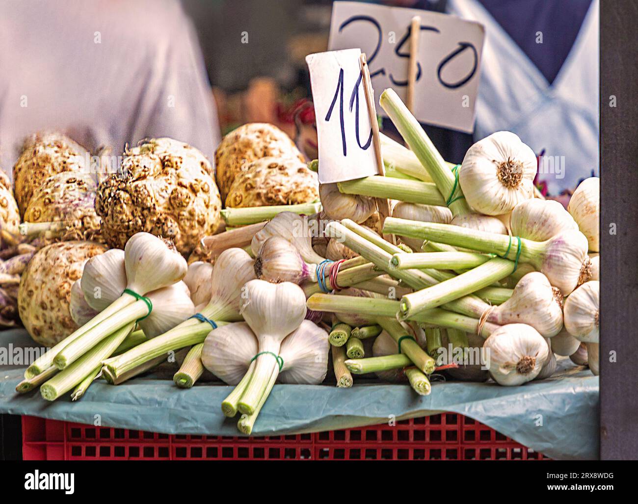 Fresh organic raw garlic sold outside on a market stall Stock Photo - Alamy