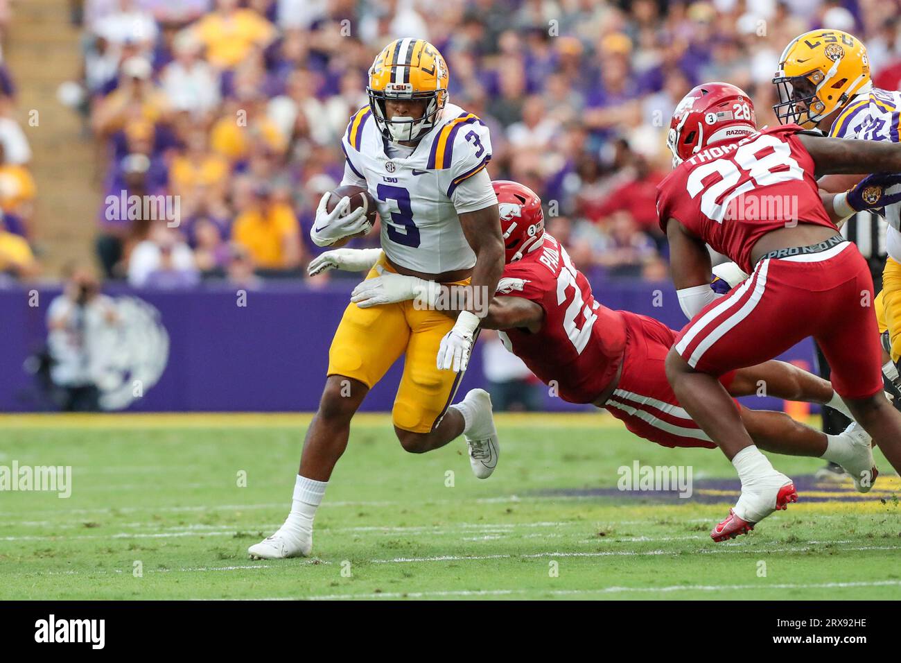 Arkansas razorbacks football news deals