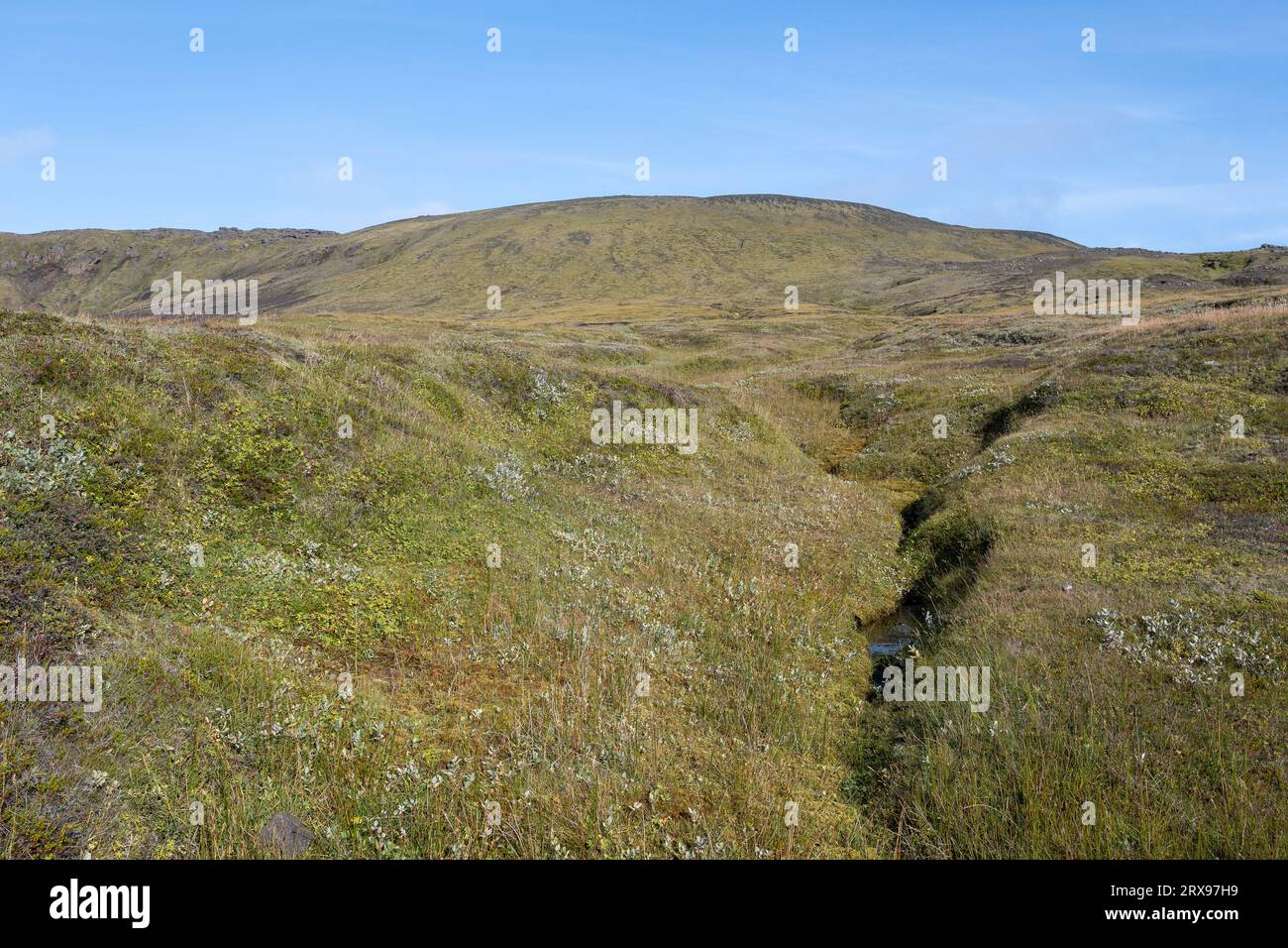 Small stream amidst arctic vegetation in Fjallabak Nature Reserve in Iceland's highlands on clear sunny autumn morning.. Stock Photo