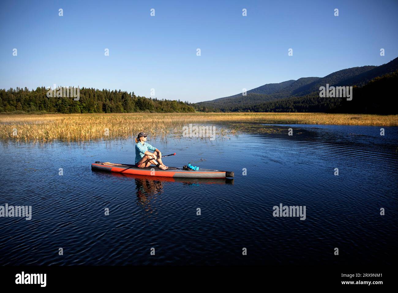 Woman relaxing on stand up paddle (SUP) with beautiful light on summer day on Cerknica lake, surrounded with lush forest, Slovenia Stock Photo