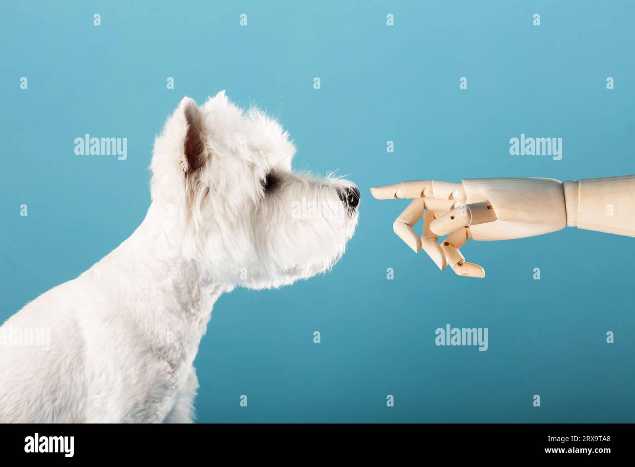 The robotic arm is artificial, pointing to a dog's nose. Whistle the