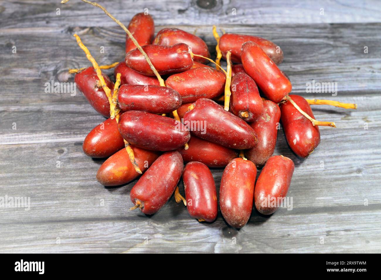 Zaghloul Egyptian red dates grow by the dozens on long yellow stems