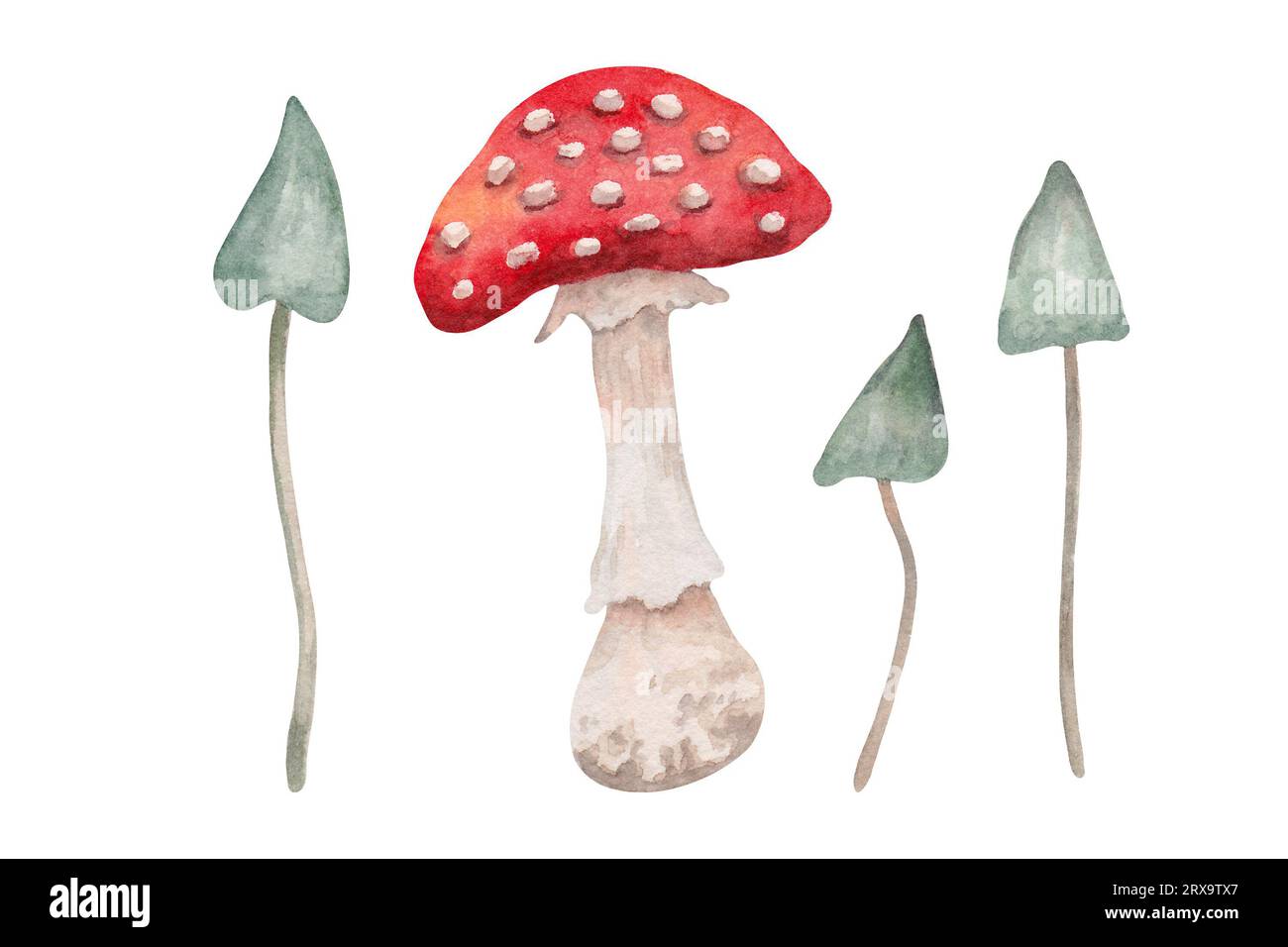 Fly agaric and blue mushrooms.Inedible poisonous mushroom.Botanical watercolor illustration.Hand drawn isolated art. Stock Photo