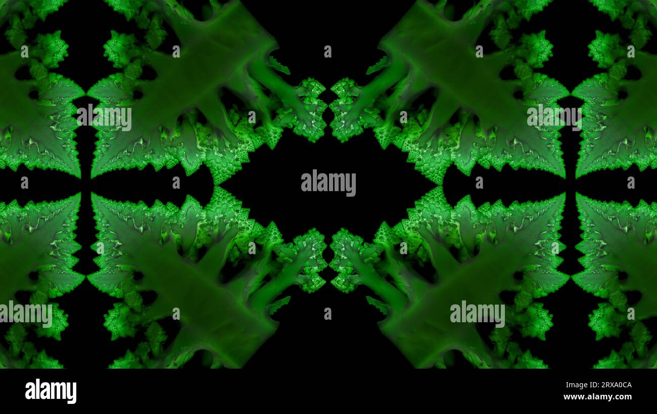 Green abstract mosaic on black bacground made of romanesco cauliflower Stock Photo