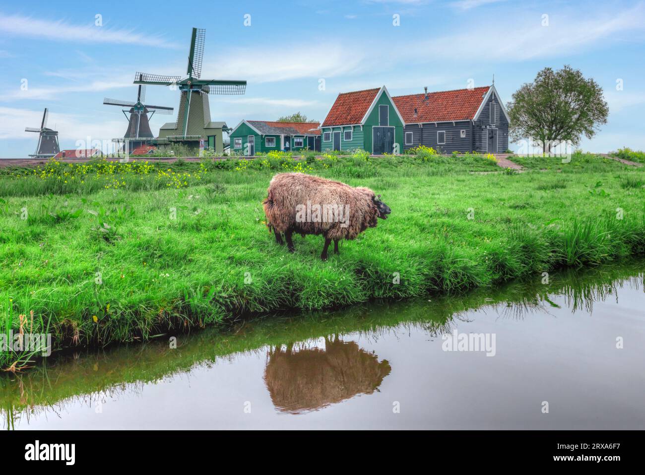 Traditional Dutch village of Zaanse Schans in North Holland, Netherlands Stock Photo