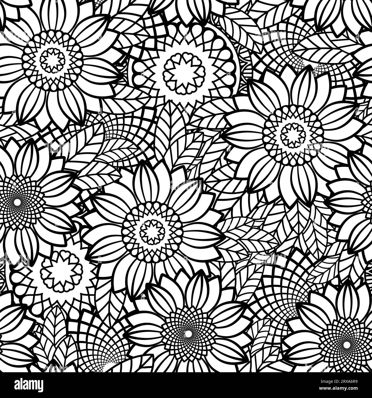 coloring-page-with-sunflowers-stock-vector-images-alamy