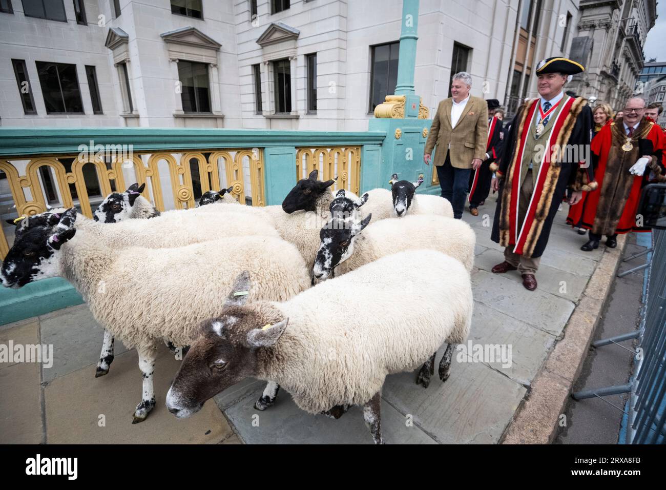 London, UK. 24 September 2023. Chef Richard Corrigan (tweed jacket ...