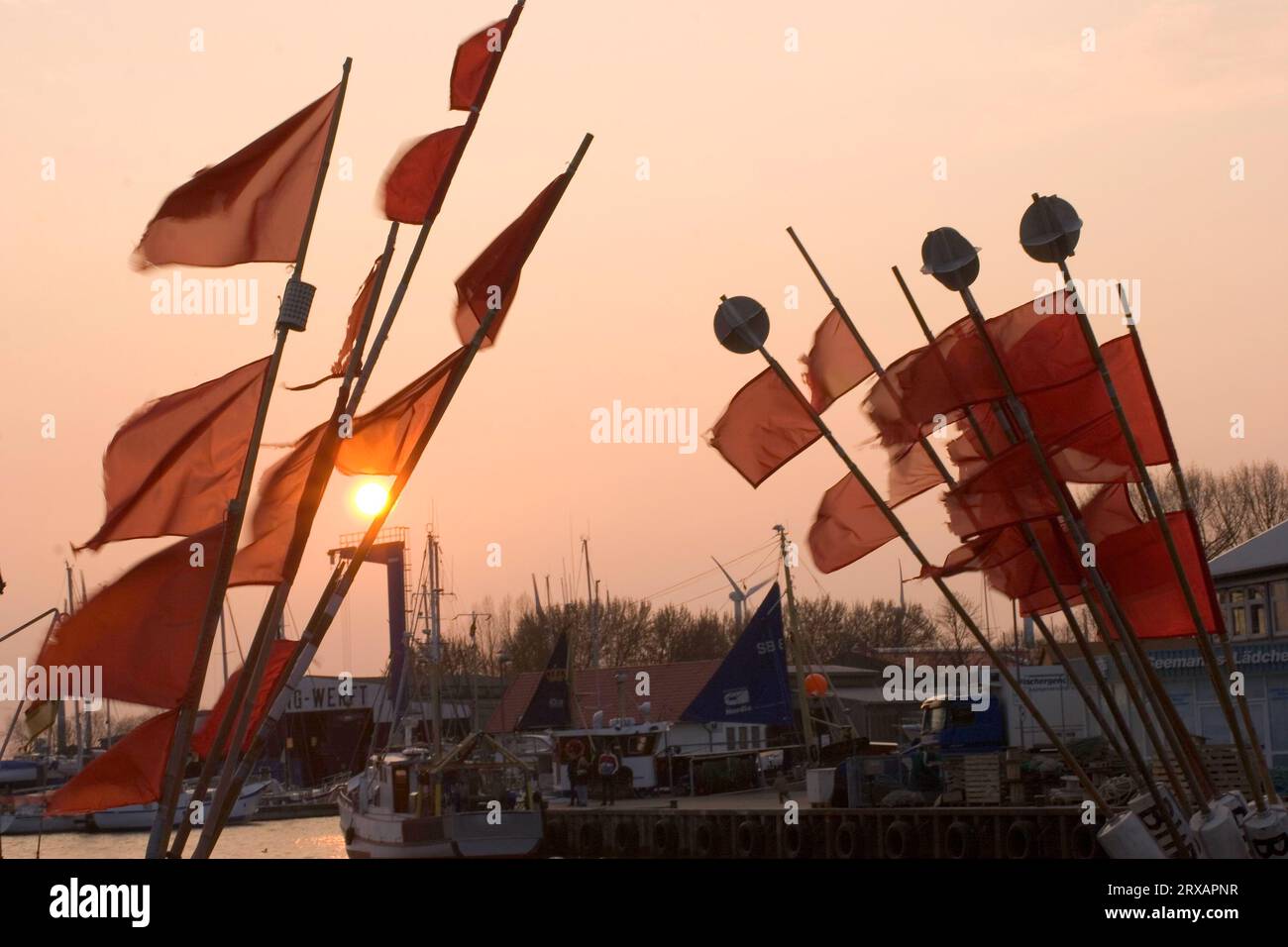 Fishermen's flags in the harbour of Burgstaaken on Fehmarn Stock Photo