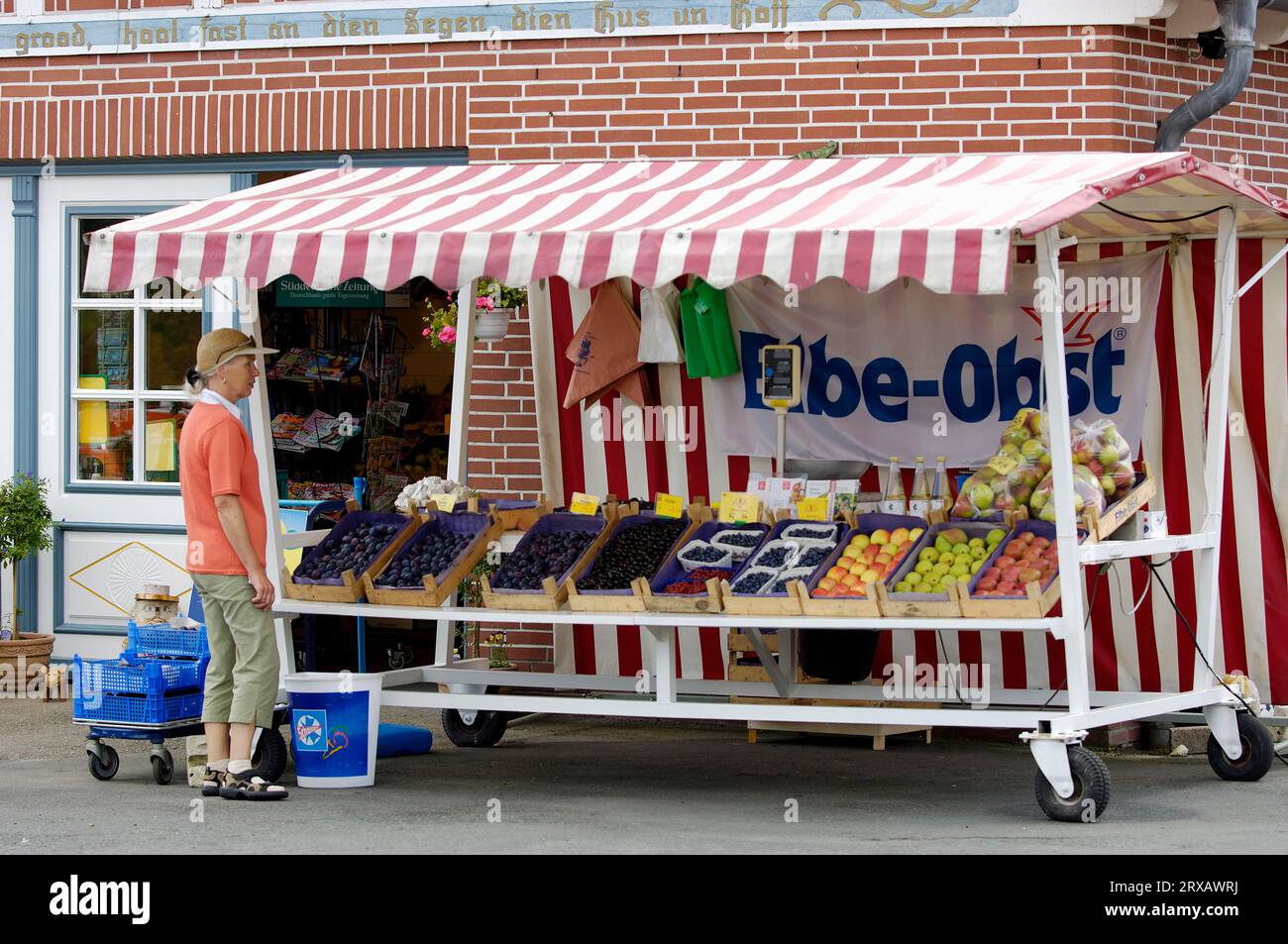 Woman at a stall with fruit, Altes Land, Lower Saxony, Germany Stock Photo