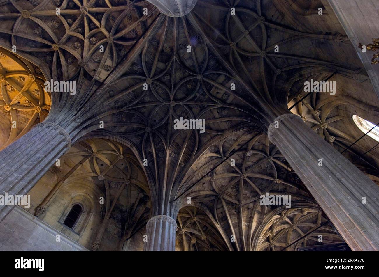 Basilica de Santa Maria de la Asuncion, Ceiling, Arcos de la Frontera