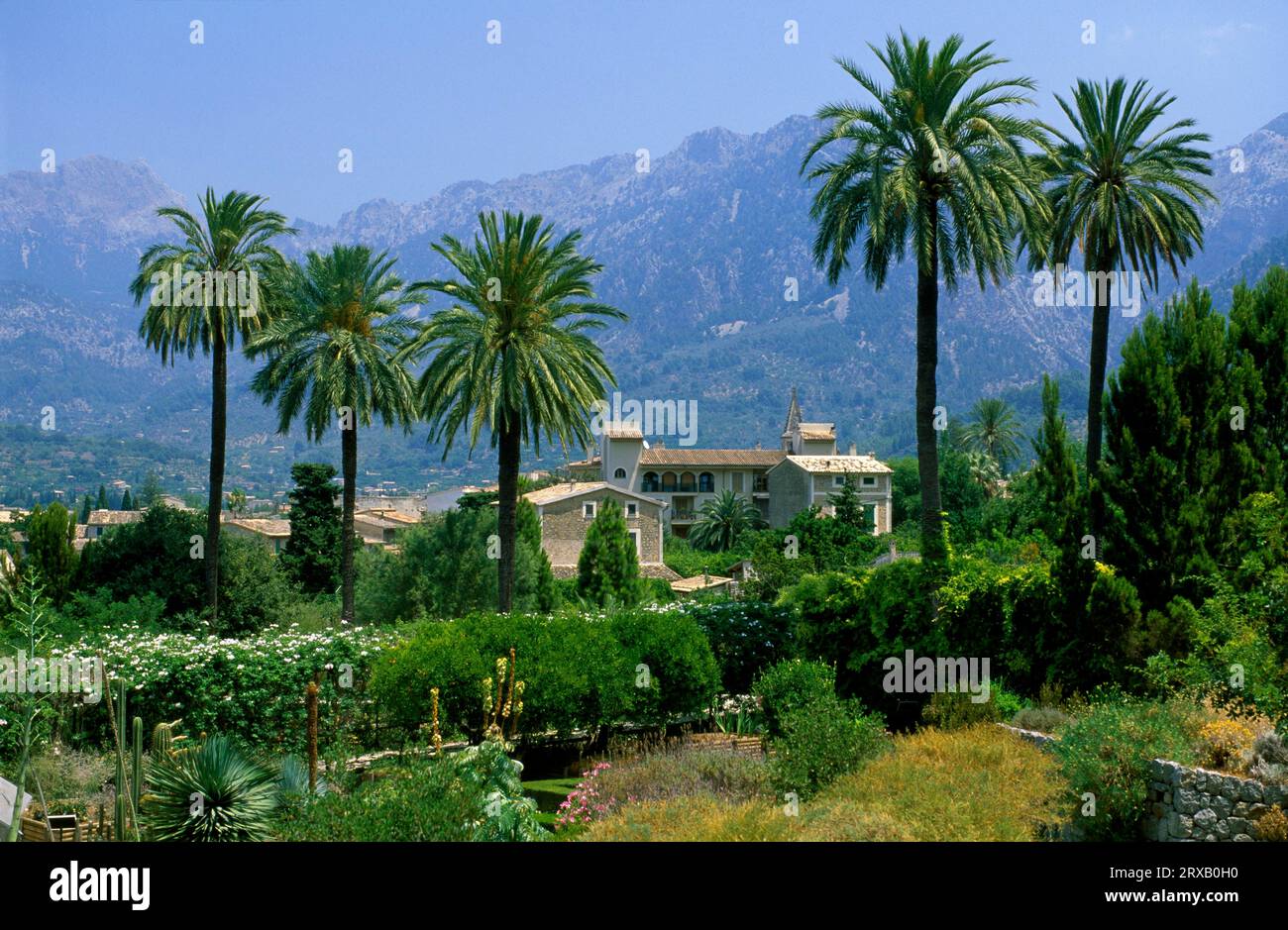 Botanical Garden, Soller, Majorca, Balearic Islands, Spain Stock Photo