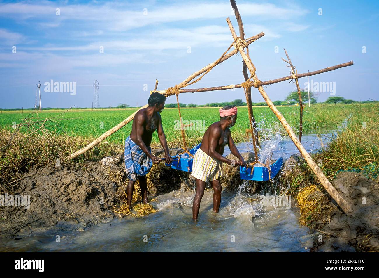 Irrigation by traditional method through wooden buckets near Ramanathapuram, Tamil Nadu, South India, India, Asia Stock Photo