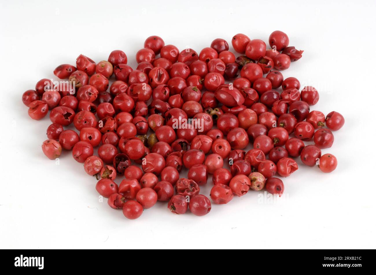Pink pepper, Peppercorns, Brazilian Pepper Tree (Schinus terebinthifolius), Pepper Rose Stock