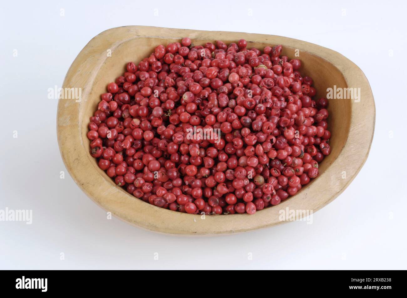 Pink pepper, Peppercorns, Brazilian Pepper Tree (Schinus terebinthifolius), Pepper Rose Stock