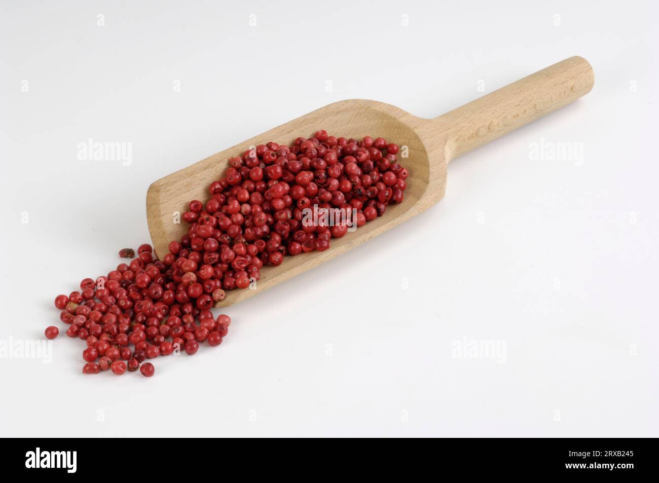 Pink pepper, Peppercorns, Brazilian Pepper Tree (Schinus terebinthifolius), Pepper Rose Stock