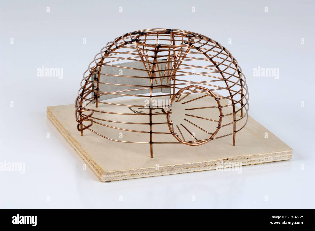 Live Trap For Mice