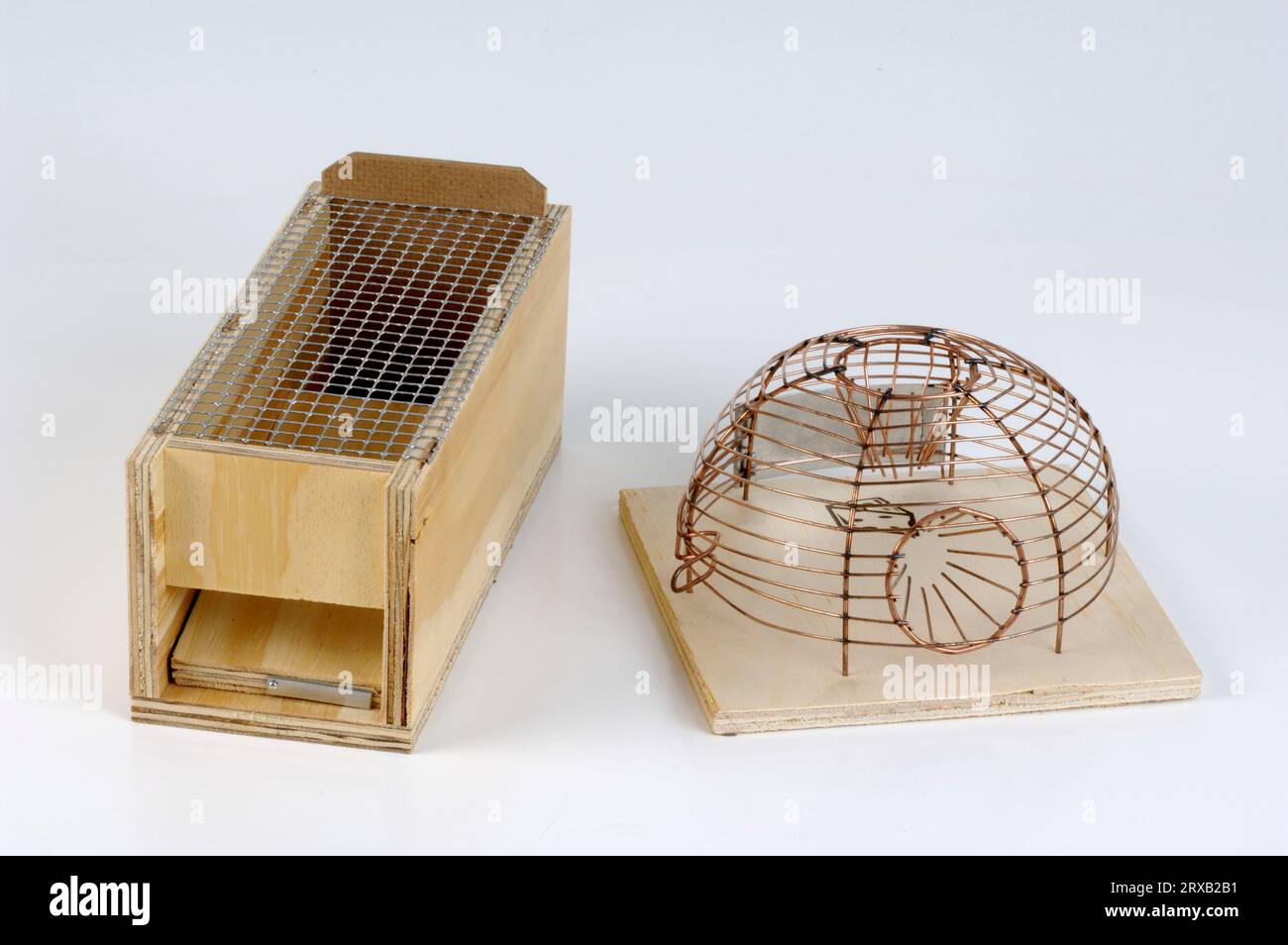 Live trap for mice cutout object mousetrap mouse traps mouse traps