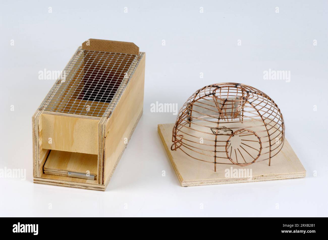 Live Rodent Trap (Mouse) Wire Cage