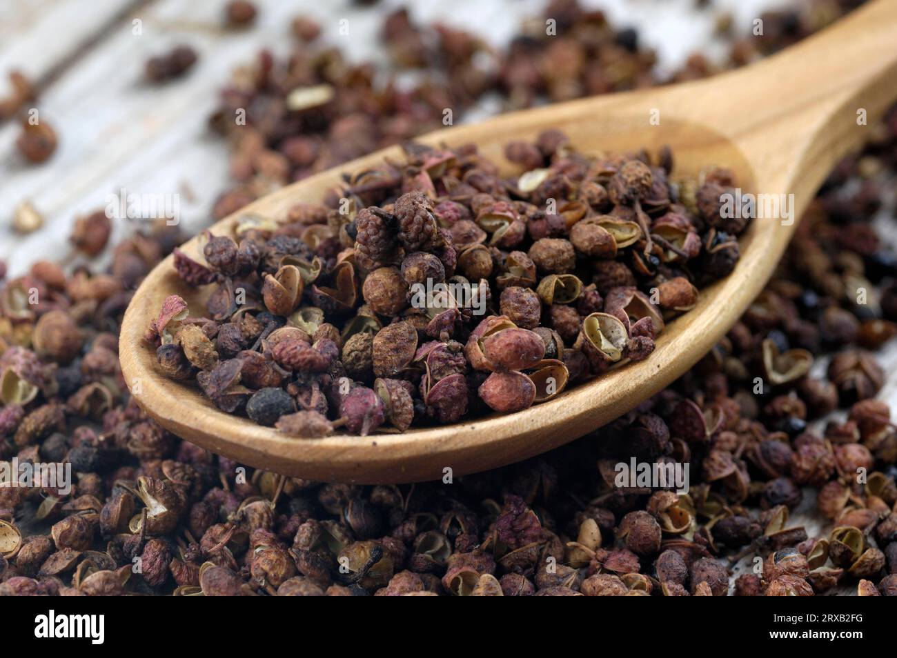 Szechuan pepper, Fagara, Zanthoxylum piperitum (Zanthoxylum piperitum), flower pepper, aniseed pepper Stock Photo