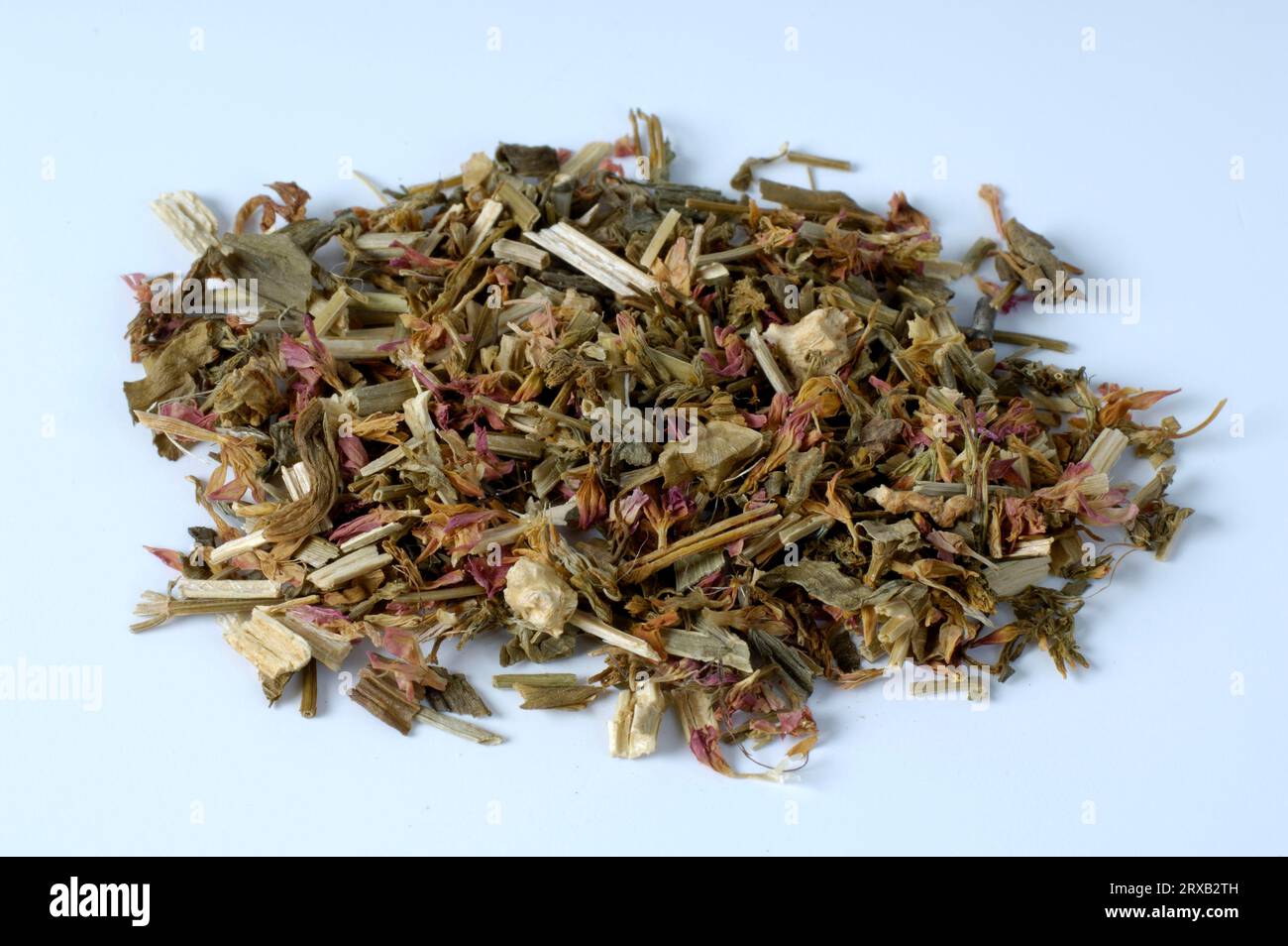 Centaurium (Centaurium), Divine Mercy Herb, Lauric Herb, Sanctuary Herb Stock Photo