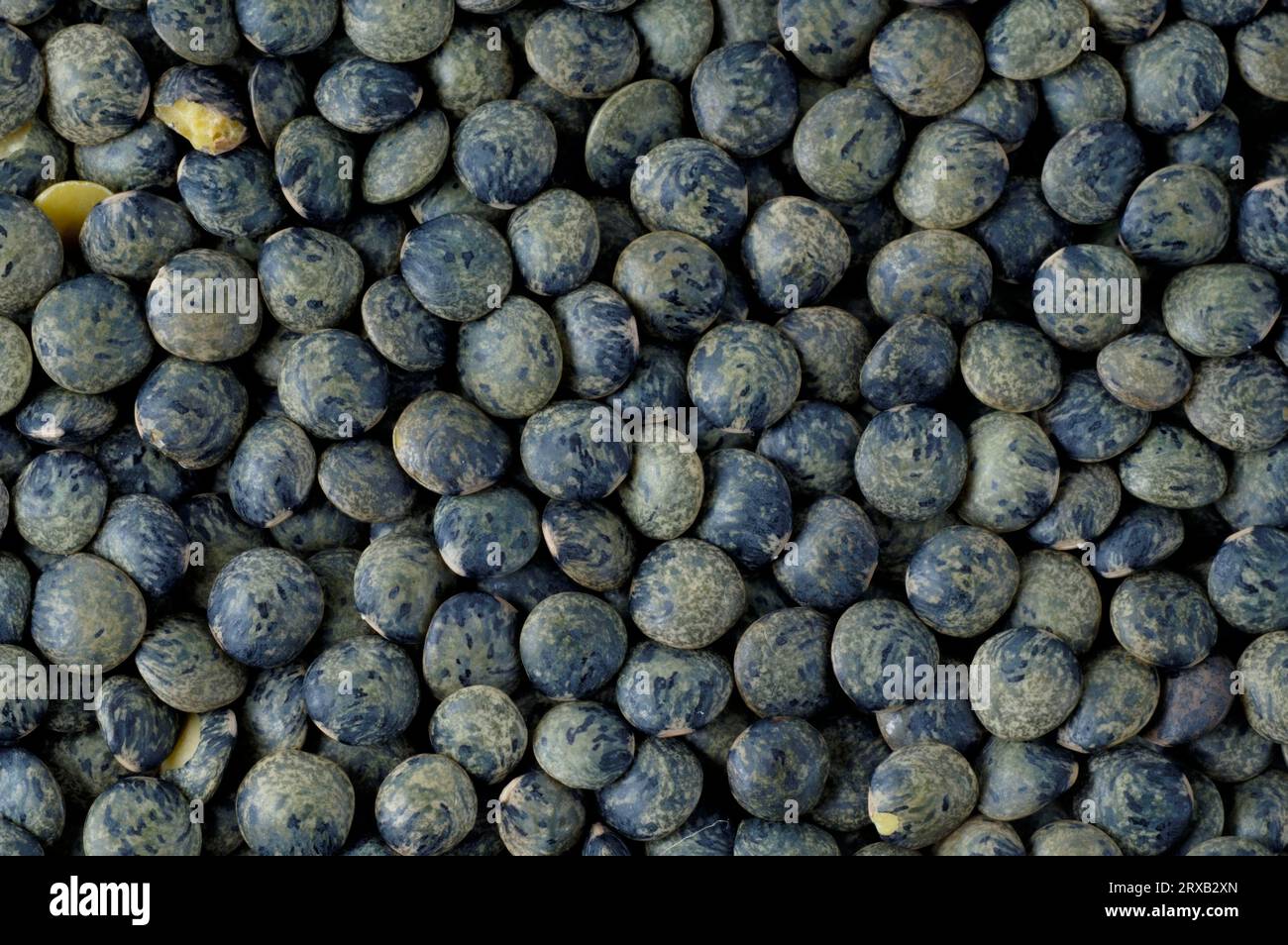 Le puy lentils hi-res stock photography and images - Alamy