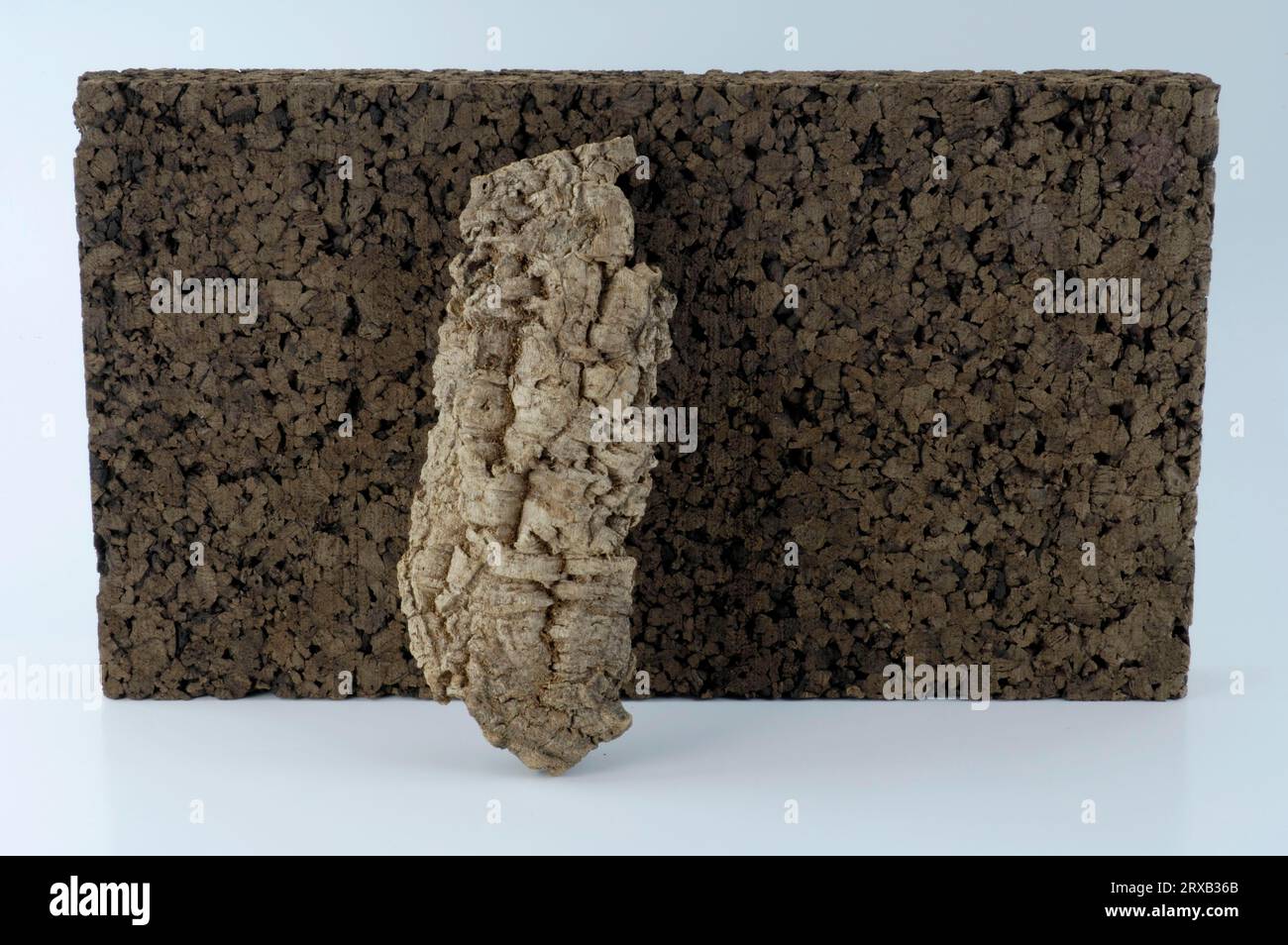 Insulation cork, Cork insulation, Exposed, Object Stock Photo Alamy